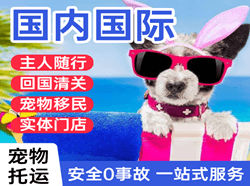 敦煌航空物流国际宠物托运 【国